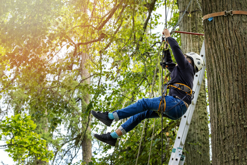 A study from the University of North Florida suggests that tree climbing improves your working memory. Read about the benefits of climbing a tree.